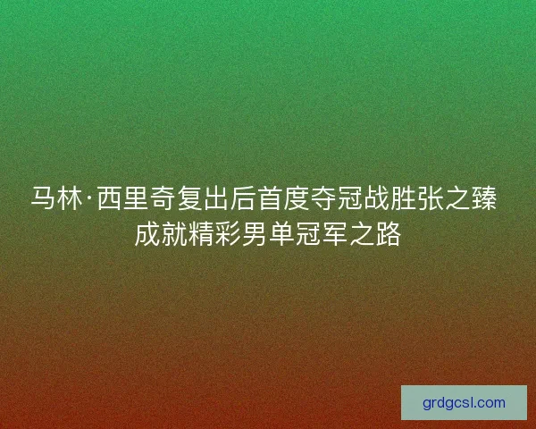 马林·西里奇复出后首度夺冠战胜张之臻 成就精彩男单冠军之路 马林·西里奇复出后首度夺冠战胜张之臻 成就精彩男单冠军之路