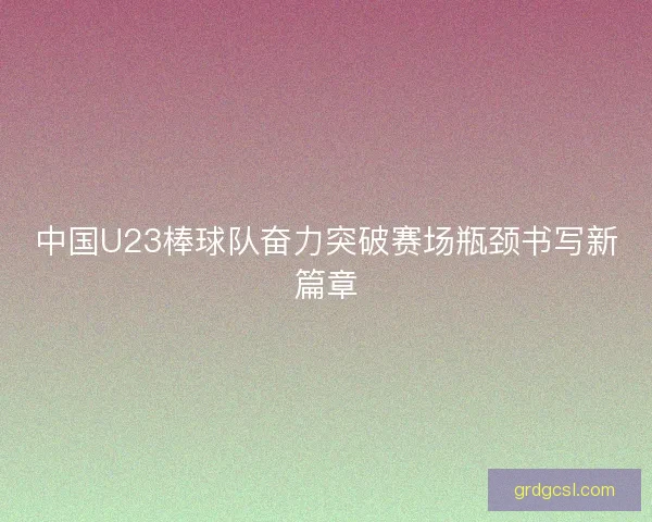 中国U23棒球队奋力突破赛场瓶颈书写新篇章